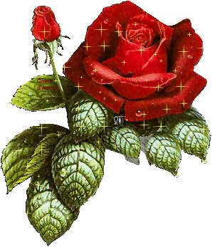 cette rose elle est pour toi car je t'aime